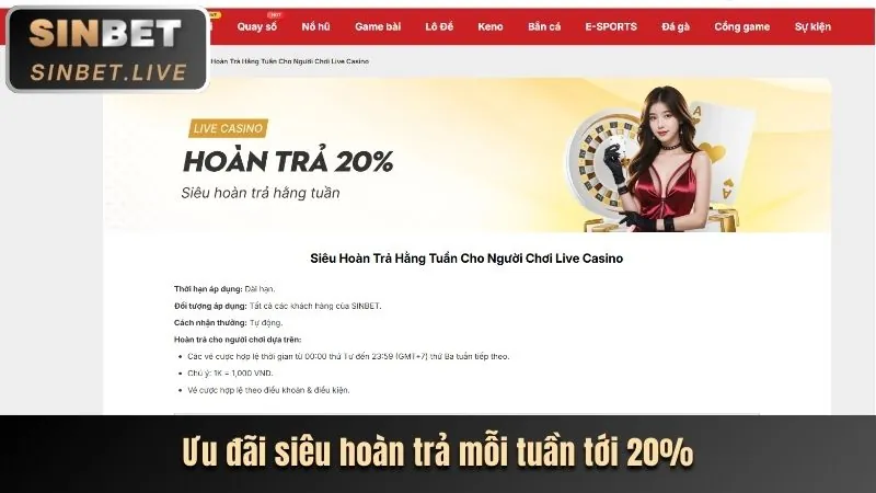Đặc quyền VIP cho người chơi nổ hũ
